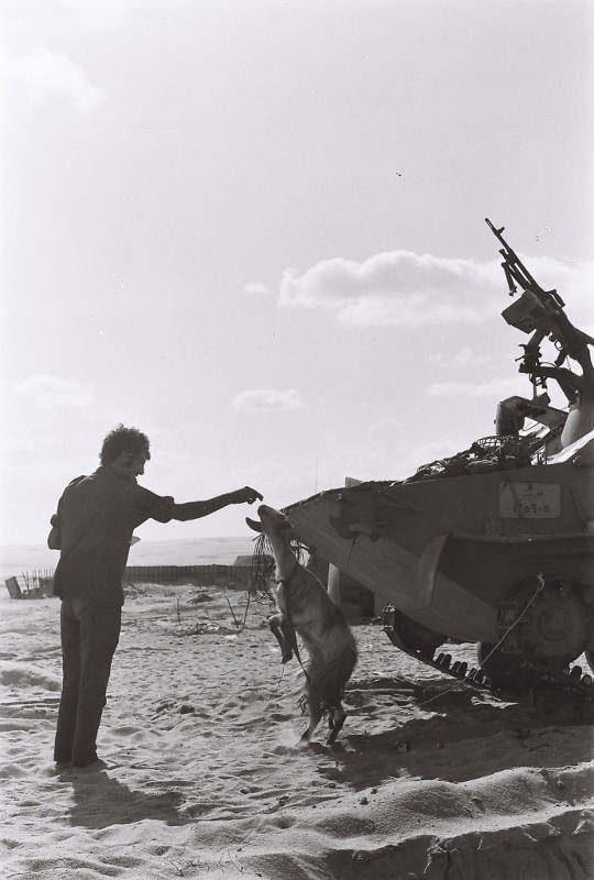 Photo guerre du Kippour Aviv Itzhaky
