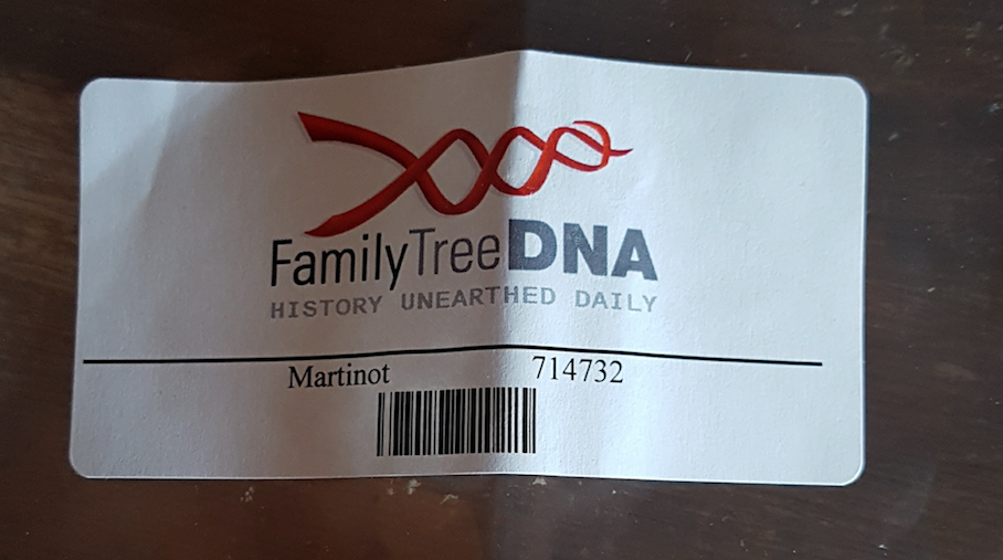 Stephanie Martinot recherche ADN JewPop