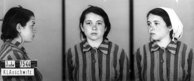 Photo anthropométrique déporté Auschwitz Jewpop