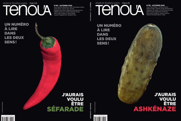 Couverutres magazine Tenoua Jewpop